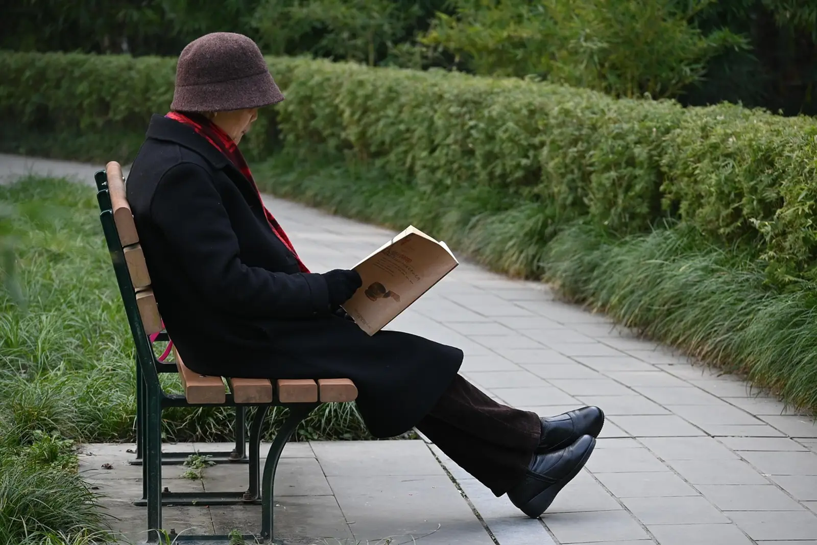 How to calm down fast: older woman calmly reading a book on a park bench surrounded by greenery
